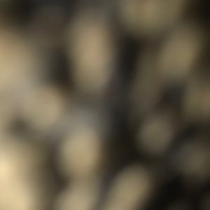 Meet your Posher, Hamza